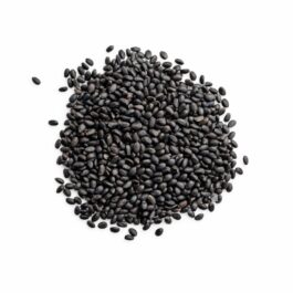 Shadanmart | Basil Seeds (100g)