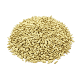 Shadanmart | Green Cumin Seeds (100g)